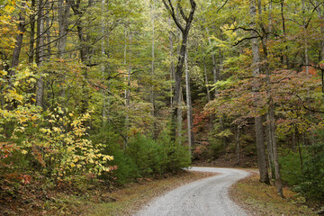 Autumn foliage along Rich Mountain Road out of Cades Cove, Great Smoky Mountains National Park, Tennessee