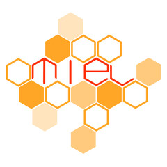 Vector logotype of honey combs. 