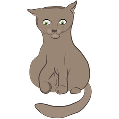 Hand drown surprised gray kitten sits and looks