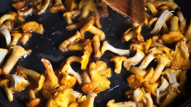 Сhanterelle mushrooms are fried in a pan. Wild mushroom dishes, home cooking