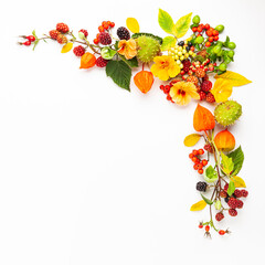 Autumn composition made of flowers,leaves, berries on white background. Autumn concept for Thanksgiving day or for other holidays. Flat lay.