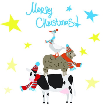 Vector illustration of cow, sheep and goose in hat and scarf. Domestic animals. Winter christmas greeting card. Flat graphic