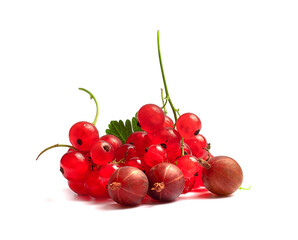ripe and juicy red currant and gooseberry with green leaflet on a white background
