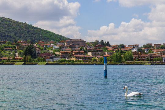 View of Lake Iseo and Paratico, Italy. A swan lays on foreground