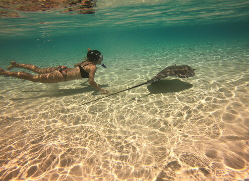 Jeune femme en bikini nageant avec une raie, lagon de Taha'a, Polynésie française