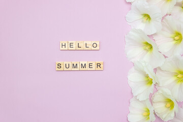 Words Hello Summer. Wooden blocks with lettering on pink background and white mallow flowers. Top view, layout