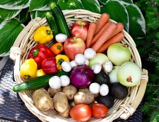 Fresh organic summer harvested vegetables washed and ready for preparing healthy meals and side dishes to share as a family