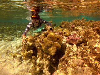 Jeune femme en plongée, jardin de corail de Taha'a, Polynésie française  © Atlantis