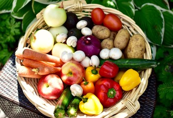 Fresh organic summer harvested vegetables washed and ready for preparing healthy meals and side dishes to share as a family
