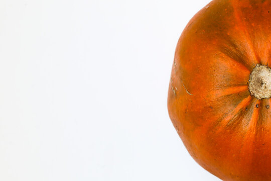 Dried Gem Squash on a white background 