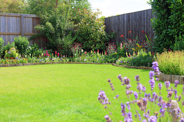 Colourful flower and shrub border in a home garden. - obrazy, fototapety, plakaty