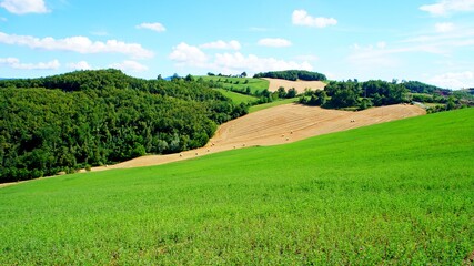 Hay bales on the field on the blue sky background.