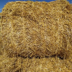 bales of straw