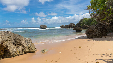 Fototapeta na wymiar Strand von Bathseba, Barbados