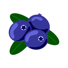 Blueberry isolated on white background. Blueberry flat icon.