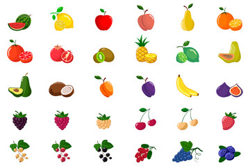 Big set of fruits and berries.  Vector illustration isolated on white background 