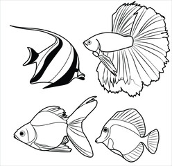 Set of four aquarium fish in a black line. Stock set isolated on a white background. Beautiful sea fish in cartoon drawing. It can be used in the menu, on the website or in the children's book
