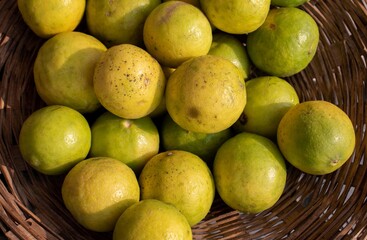 Closeup of Organic Lemon Fruit in a Bamboo Basket