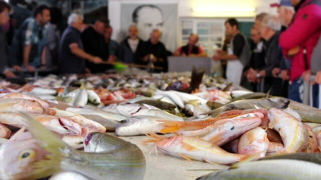 Various fresh fish for sale at seafood auction in Alacati town, Turkey. 