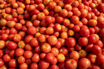 Red Tomatoes with Water Droplets in a Vegetable Market for Selling, Perfect for Wallpaper and Background
