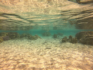 Fototapeta na wymiar Lagon de Taha'a, Polynésie française