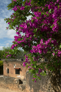 Fort Jesus, Mombasa, Kenya