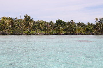 Lagon à Rangiroa, Polynésie française
