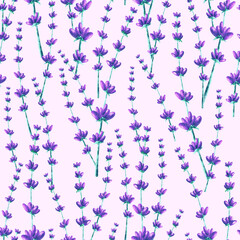 seamless pattern with lavender flowers on pink background