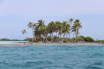 Ile du lagon de Rangiroa, Polynésie française