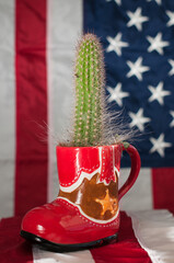 the closeup picture of a green cactus in a red cowboy boot pot over the background with a american flag 