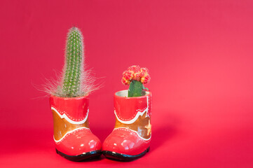Two cactuses in the pots in a shape of the cowboy boots over red background