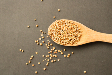 wooden spoon with coriander seeds - Powered by Adobe