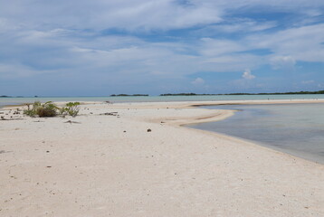 Plage de sable rose à Rangiroa, Polynésie française