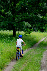 Fototapeta premium A boy rides a bicycle through the forest on a sunny summer day.