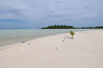 Plage de sable rose à Rangiroa, Polynésie française