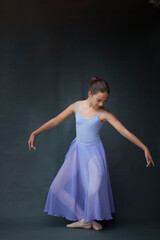 Naklejka premium Ballerina posing in plie
