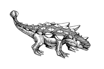 prehistoric Jurassic reptile, herbivorous ankylosaurus dinosaur with a plate armor & mace on its tail, vector illustration with black ink lines isolated on a white background in a hand drawn style