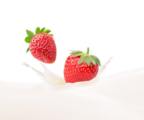 Falling strawberry is splashing into milk