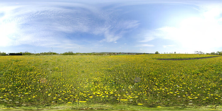 Yellow Flowers HDRI Panorama