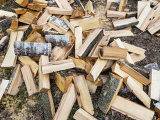Birch wood is lying in the forest and waiting to be burned in the stove.