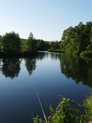 reflection of trees in the river. Forest and smooth water