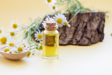 Tincture or essence of chamomile flowers. Natural cosmetic. Mini bottle with liquid on a background of daisies