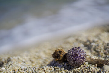 Holiday in Spain. picture on the beach