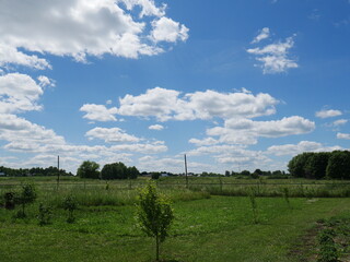 blue sky with white clouds and green meadow with trees