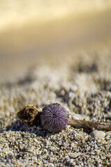 Holiday in Spain. picture on the beach