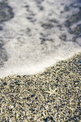 Starfish shell, sand and sea in the background
