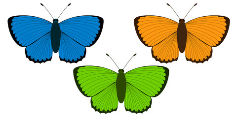 Lycaena virgaureae. Three butterflies of different colors: blue, orange and green. Vector illustration on a white.