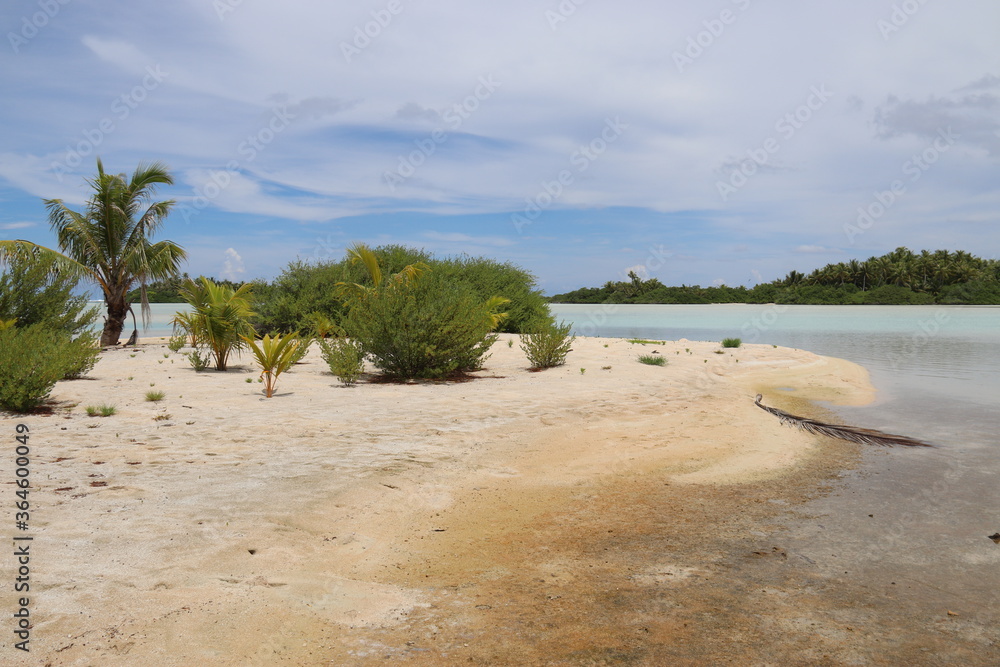 Poster Plage à Rangiroa, Polynésie française