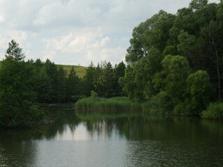 lake in the forest