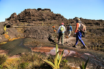 Trekking, camping, aventura, natureza, montanha.